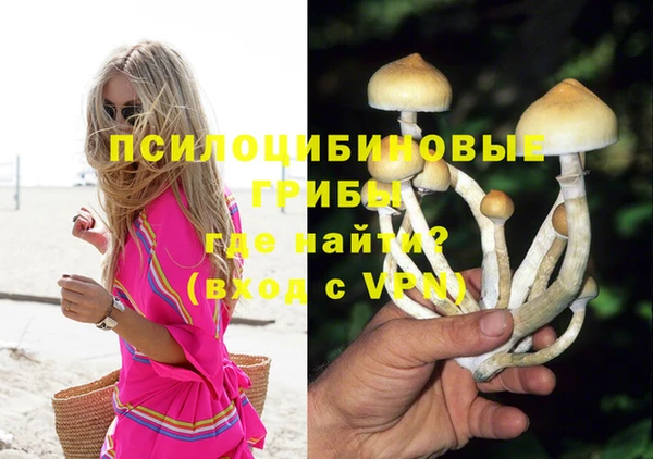 таблы Верхний Тагил