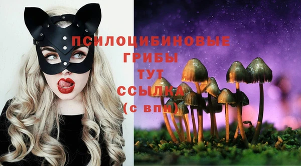 экстази Бородино